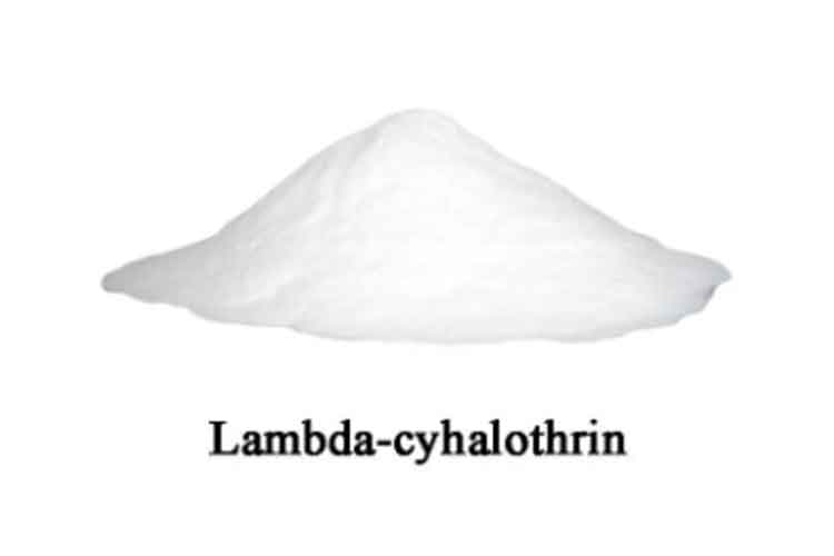 What is Lambda-cyhalothrin used for?.jpg What is Lambda-cyhalothrin used for?.jpg