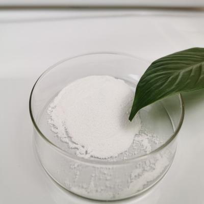 The Difenoconazole Triazole Fungicide