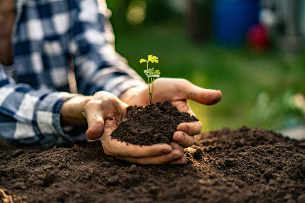 1649835971971864.jpg istockphoto-1161321441-612x612.jpg