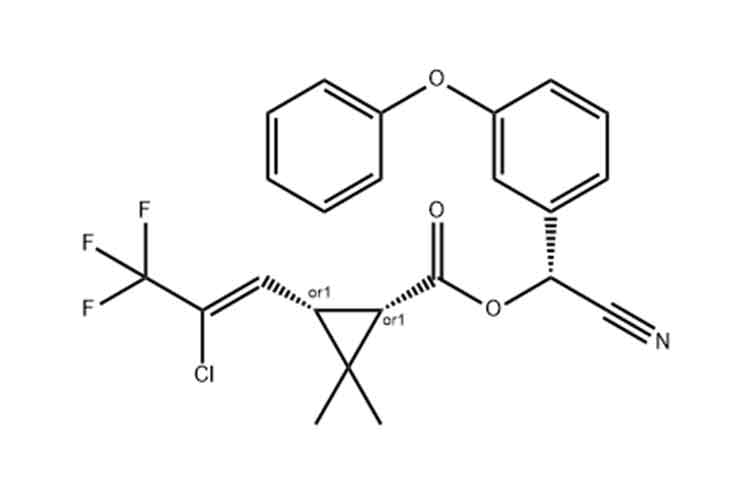What is Lambda-cyhalothrin used for?.jpg What is Lambda-cyhalothrin used for?.jpg